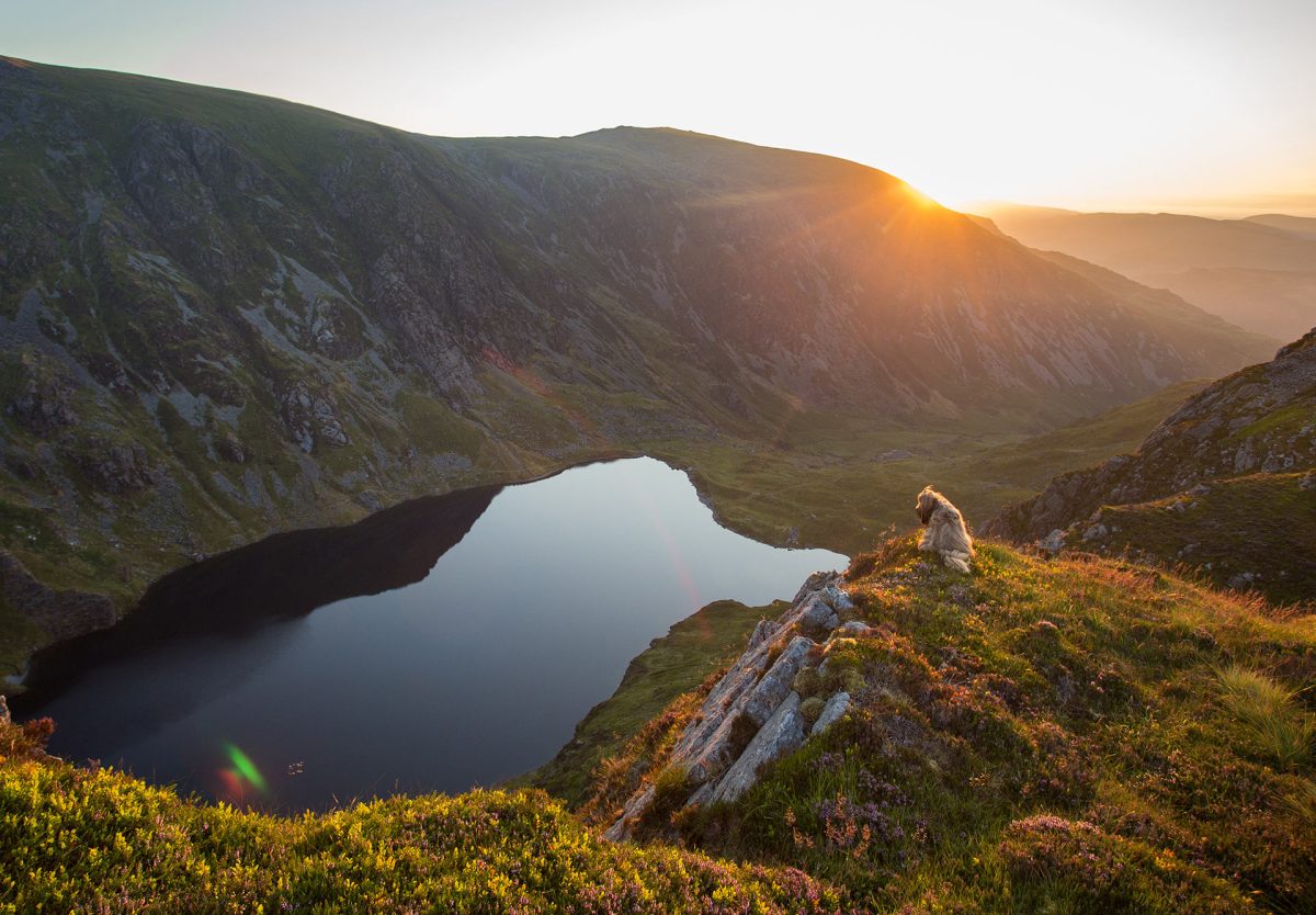 Explore Cader Idris and the southern hills